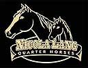 Nicola Lang Quarter Horses