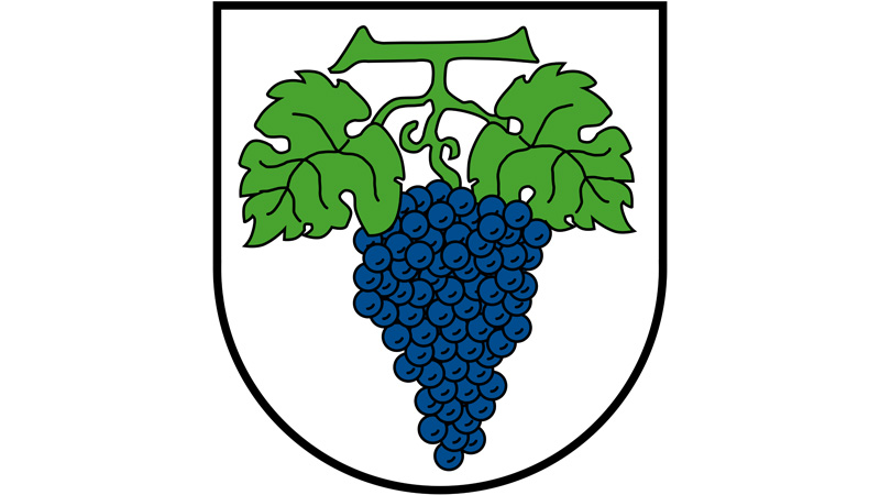 Wappen Elsenz